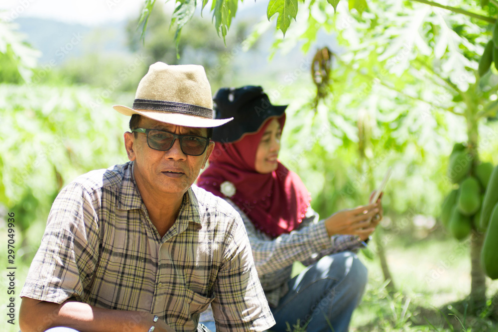 modern farming concept, old asian male farmer sit at papaya farm modern farming concept, old asian male farmer sit at papaya farm