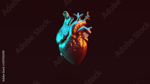 Silver Anatomical Heart with Red Orange and Blue Green Moody 80s lighting Front 3d illustration 3d render photo
