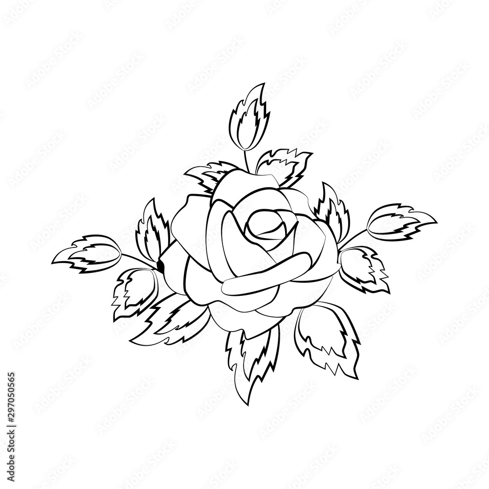 Rose flower illustration outline Rose flower illustration outline
