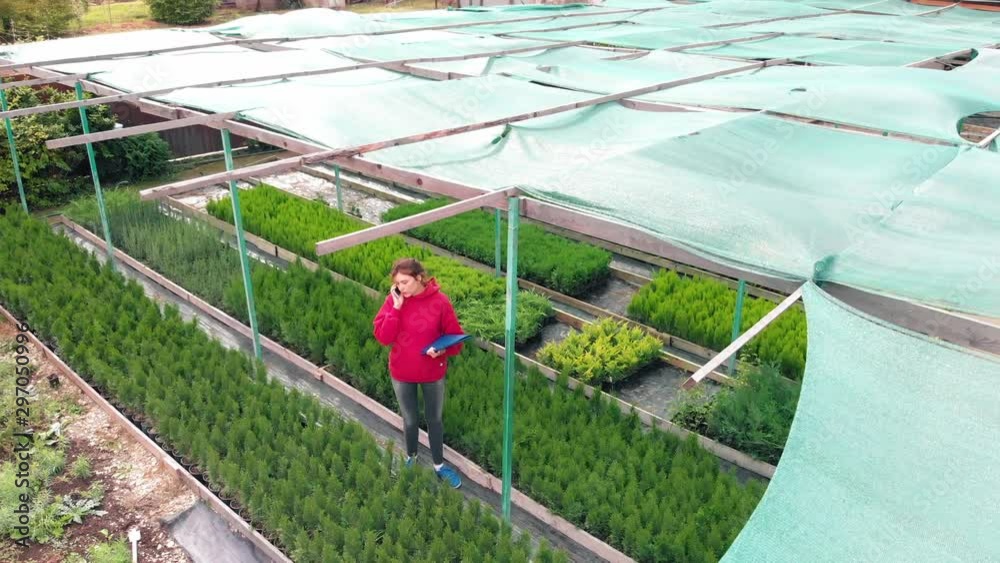 Female owner of a small eco-business. Service, talking with a client on the phone. View from above. Remote trade in eco products, young seedlings of evergreens Female owner of a small eco-business. Service, talking with a client on the phone. View from above. Remote trade in eco products, young seedlings of evergreens