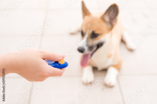 dog obedience training with clicker