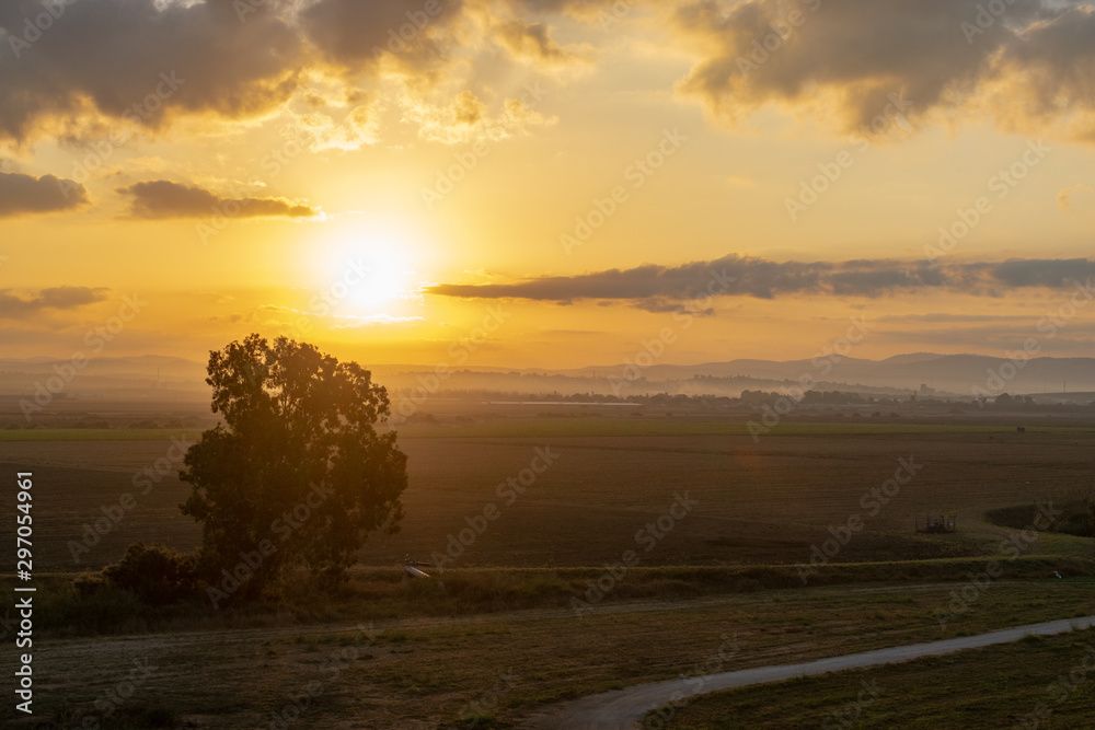 Israel, sunset, pardes