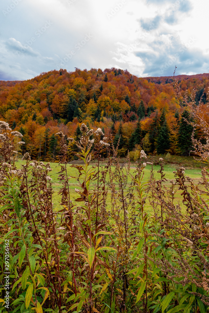 Autumn landscape in mountains