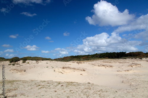 Sand drift in Dutch dunes  Zeeland  Netherlands