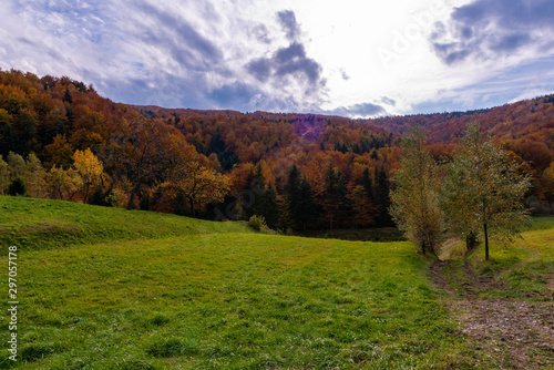 Fototapeta Naklejka Na Ścianę i Meble -  Colorful trees at autumn in the mountains