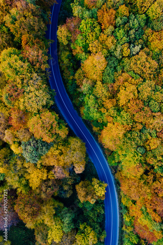 Drone view of a forest and a serpentine road © belyaaa