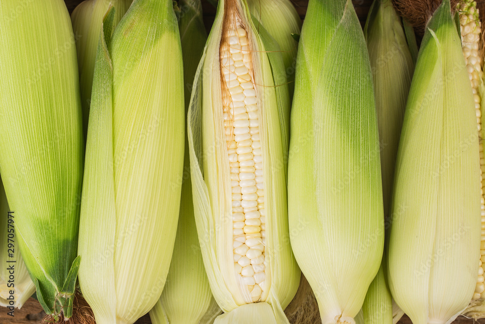 Grains of ripe corn on wooden background. Grains of ripe corn on wooden background.