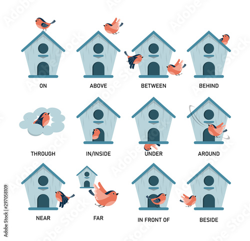 Bird and birdhouse, learning preposition vector isolated. photo