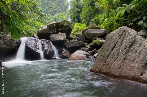 jungle and forest waterfall natural waterfall guadeloupe caribbean
