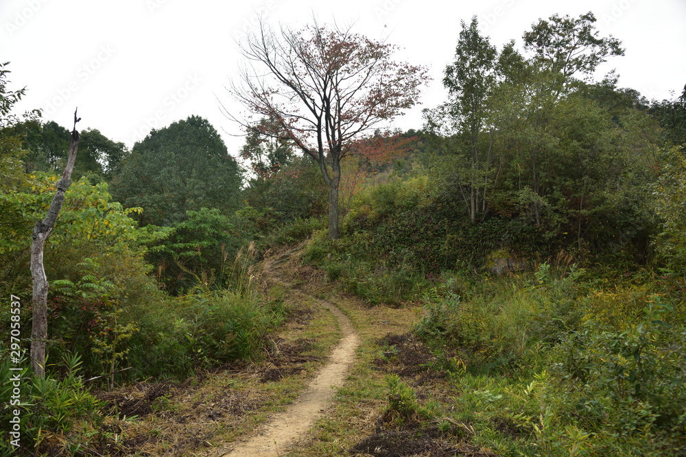 Fototapeta premium 日本の岡山県総社市の福山の風景