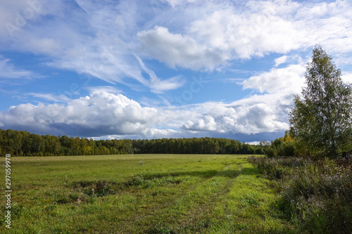 Beautiful countryside landscape. Green field and blue sky with clouds.