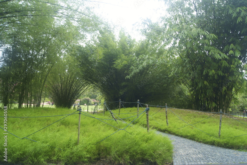 Obraz premium SONY DSC