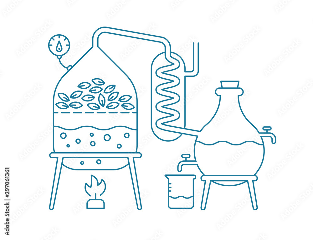 Essential oil making. Distillations aromatic oils production Perfumery substances Distiller equipment. Contour blue line vector.