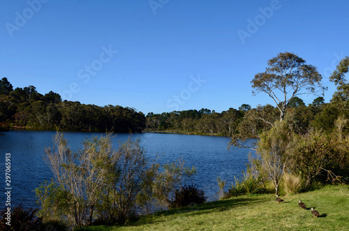 A view of Wentworth Falls Lake in the blue Mountains west of Sydney.