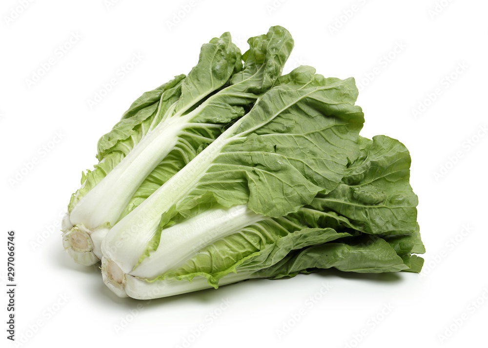 Chinese cabbage on white background Chinese cabbage on white background