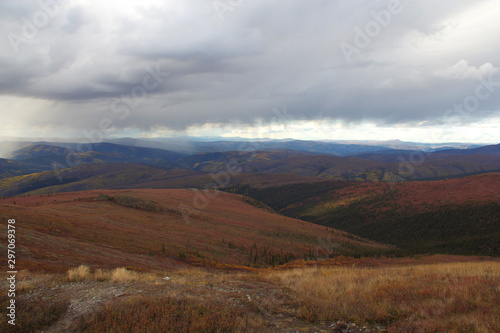 Landschaft in Alaska Denali Nationalpark