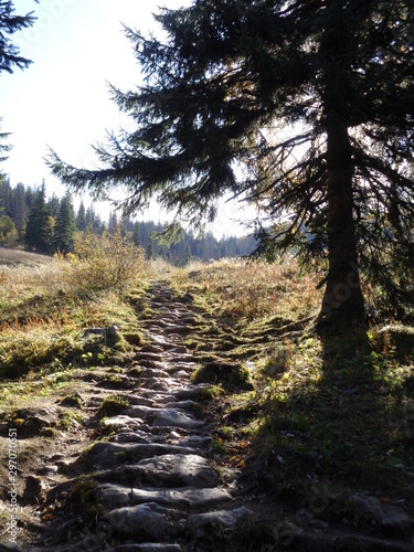 Tatrzański Park Narodowy - szlak na Czerwone Wierchy