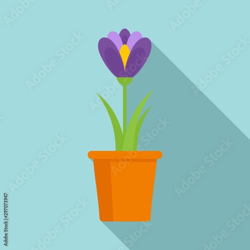 Crocus flower pot icon. Flat illustration of crocus flower pot vector icon for web design