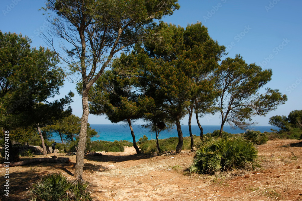 Felsenküste und Strand auf Mallorca Felsenküste und Strand auf Mallorca