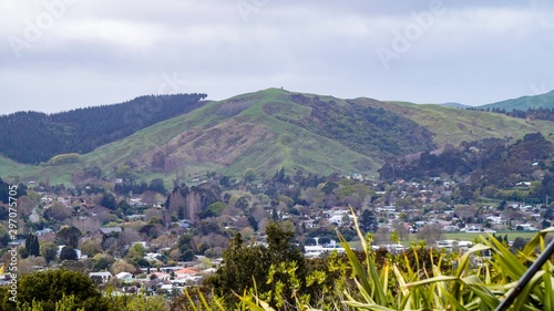 Gisborne City Viewpoint on the Hilltop, New Zealand photo