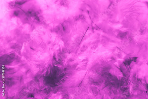 Beautiful abstract blue and purple feathers on darkness background and colorful soft white pink feather texture pattern