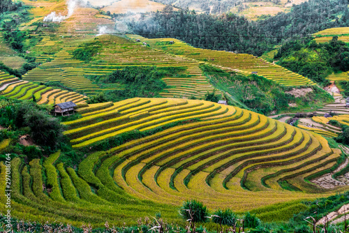 Landscape view of rice fields in Mu Cang Chai District  VIetnam
