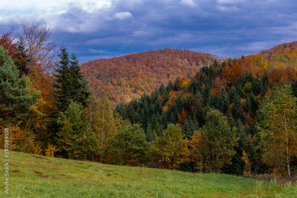 Autumn landscape in Mountains and blue sky in Poland