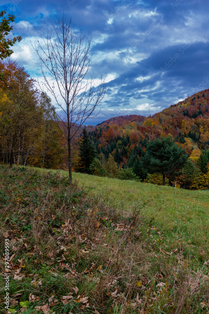 Autumn landscape in Mountains and blue sky Autumn landscape in Mountains and blue sky
