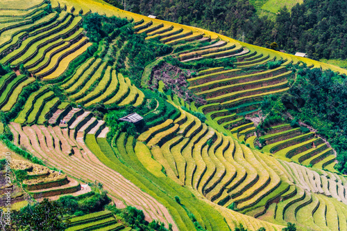 Landscape view of rice fields in Mu Cang Chai District, VIetnam