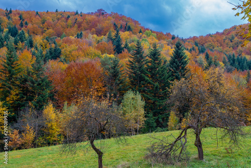 Autumn colors in the mountains in Poland