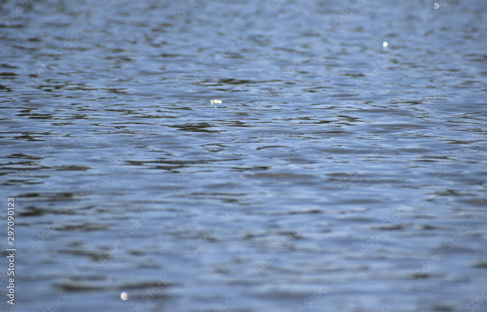 Obraz premium lake water with reflections in the sun