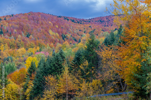 Autumn landscape in Mountains and blue sky