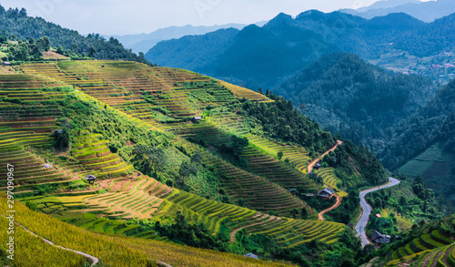 Landscape view of rice fields in Mu Cang Chai District, VIetnam