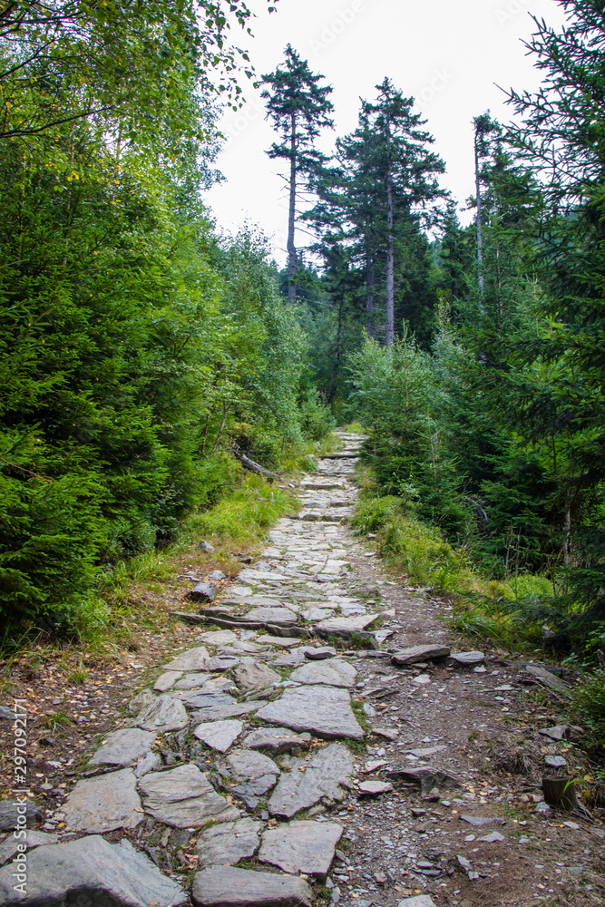 Obraz premium Karkonosze - Polish mountains. Mountains, trails and vegetation in the summer.
