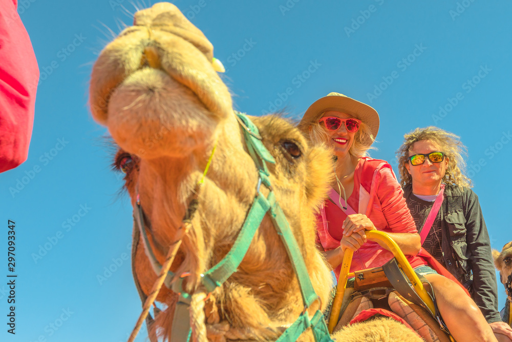 Couple camel riding in Australian desert of Northern Territory. Caucasian tourists enjoys camel ride on red dunes of Red Centre, Central Australia. Popular tourist activity in Uluru.