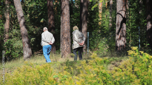 Rentner gehen im Wald spazieren