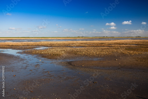 Wadden Sea National Park, near MandÃ¶ island, Jutland, North Sea, Denmark, Europe