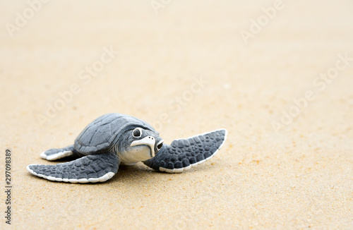 Little turtle on a white beach
