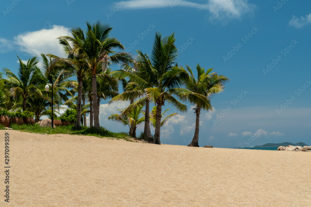 Obraz premium Tropical coast view with beach, stones and palm trees