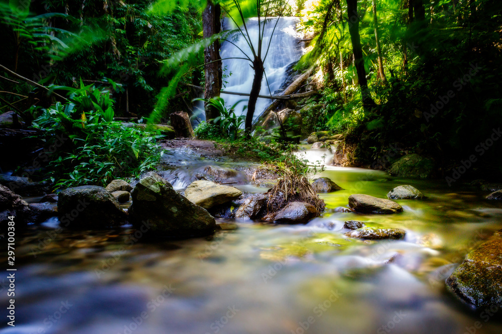 stream in the forest stream in the forest