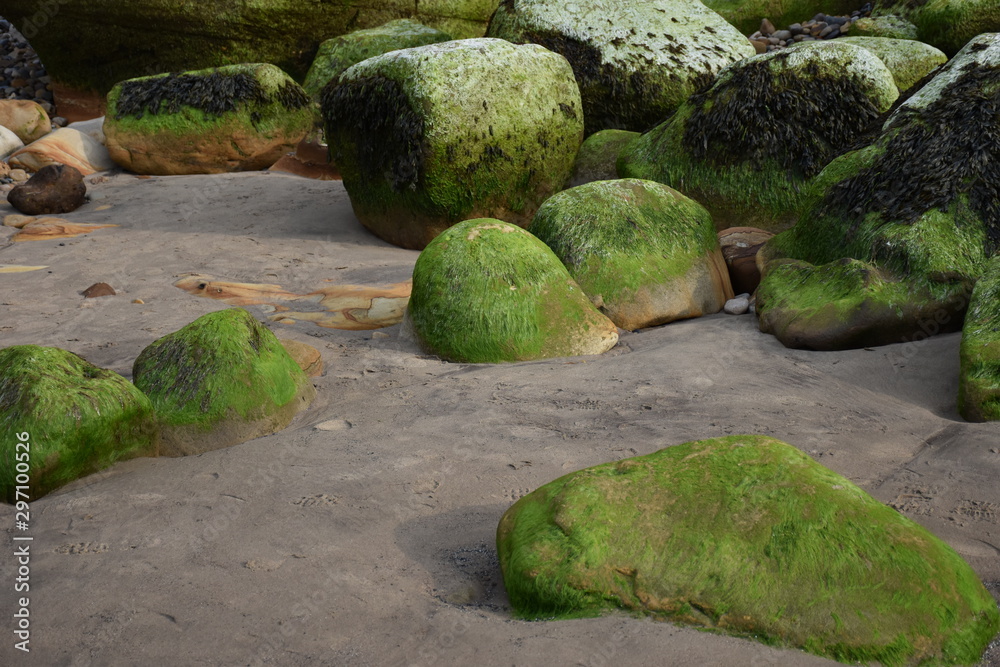 Bemooste Steine am Whity cliff Bemooste Steine am Whity cliff