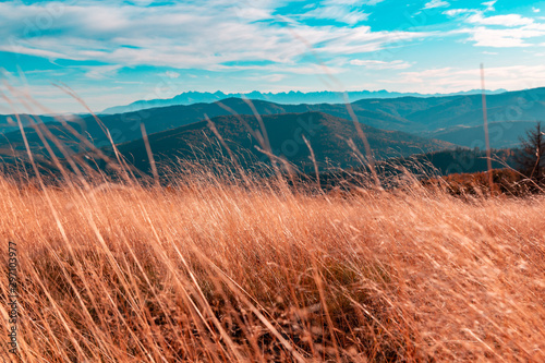Autumn mountain landscape, high red dry grass on the background of mountains and blue turquoise sky