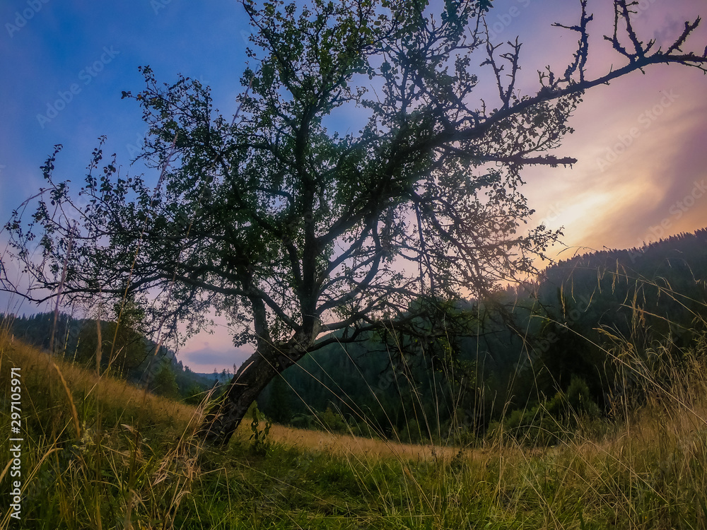 Landscape with Carpathian mountains during the sunset with amazing sunlight Landscape with Carpathian mountains during the sunset with amazing sunlight