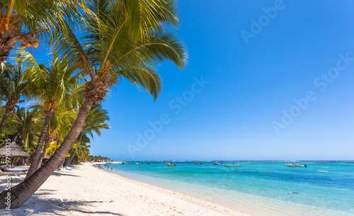tropical beach with palm trees, Morne Brabant, Mauritius 