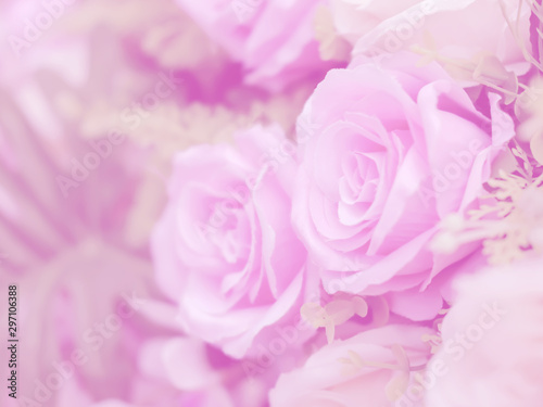 Blurred of rose flowers pink blooming. in the pastel color style for background.