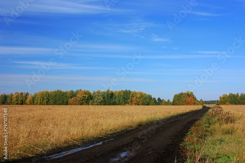 Country road in the field