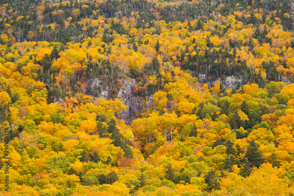 Rock and Colorful Autumn Foliage of White Mountains in New England Rock and Colorful Autumn Foliage of White Mountains in New England