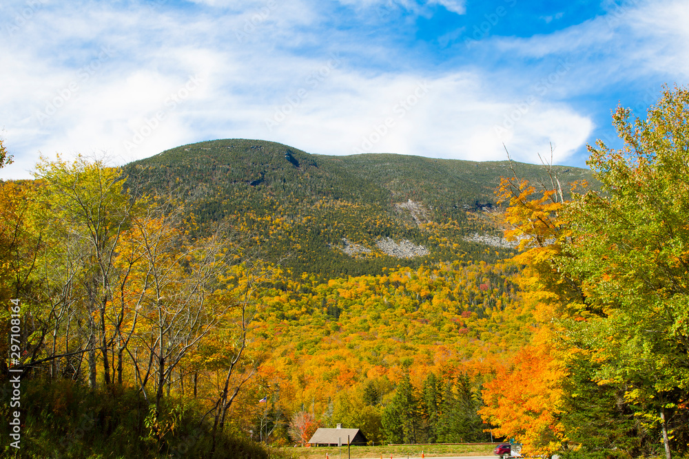 Obraz premium Colorful Autumn Foliage of White Mountains in New England