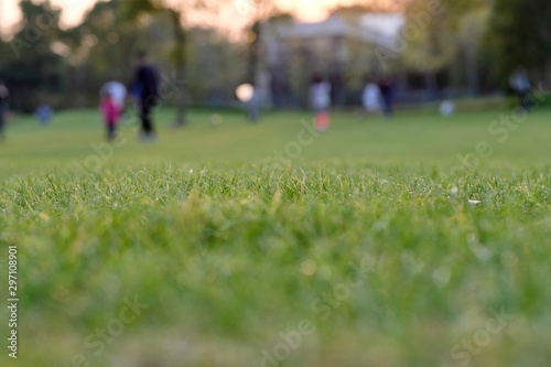 close up green grass. Blur people playing outdoor background . Low angle