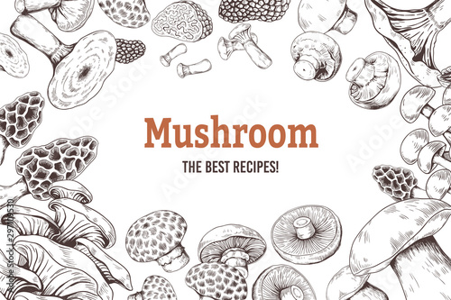 Mushroom sketch background. Organic food sketch with shiitake champignon truffle and oyster mushrooms. Vector hands drawings doodle set illustration for vegetarian recipe book